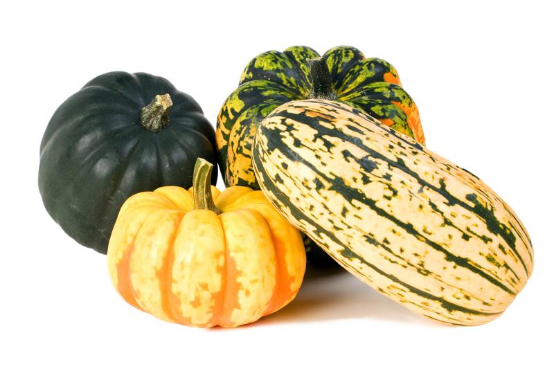 Winter squash come in many different shapes, sizes and colors. JACK KUNNEN PHOTO/ADOBE STOCK